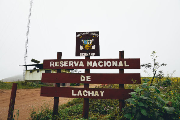 Official entrance to Lomas de Lachay National Reserve