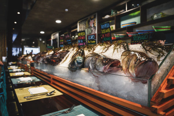 La Mar’s chilled fish display with the catches of the day